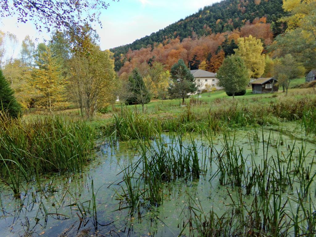 Hotel-Spa & Restaurant Logis Domaine Langmatt Murbach Exterior foto